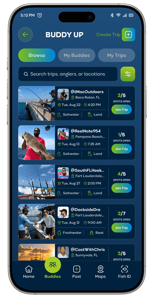 Buddy Up screen mockup