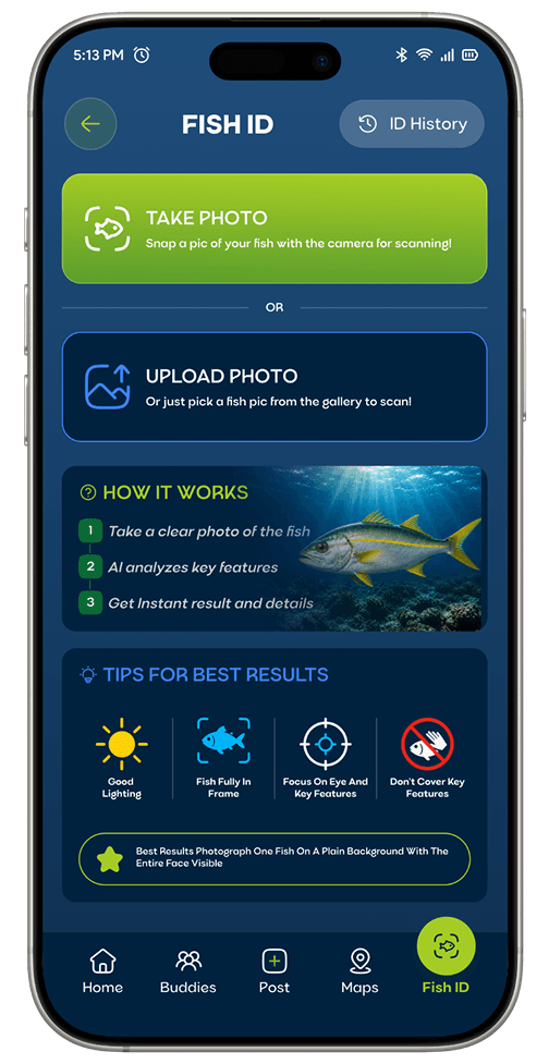 Fish ID screen mockup