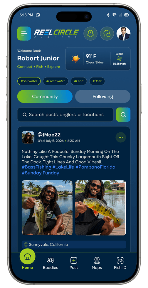Social Feed screen mockup